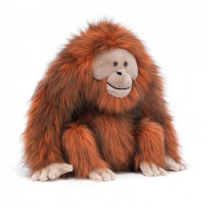 Jellycat Oswald Orangutan ONE SIZE - H34 X W30 CM | 26045NKQJ