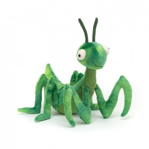 Jellycat Penny Praying Mantis ONE SIZE - H22 X W20 CM | 45783KXOJ